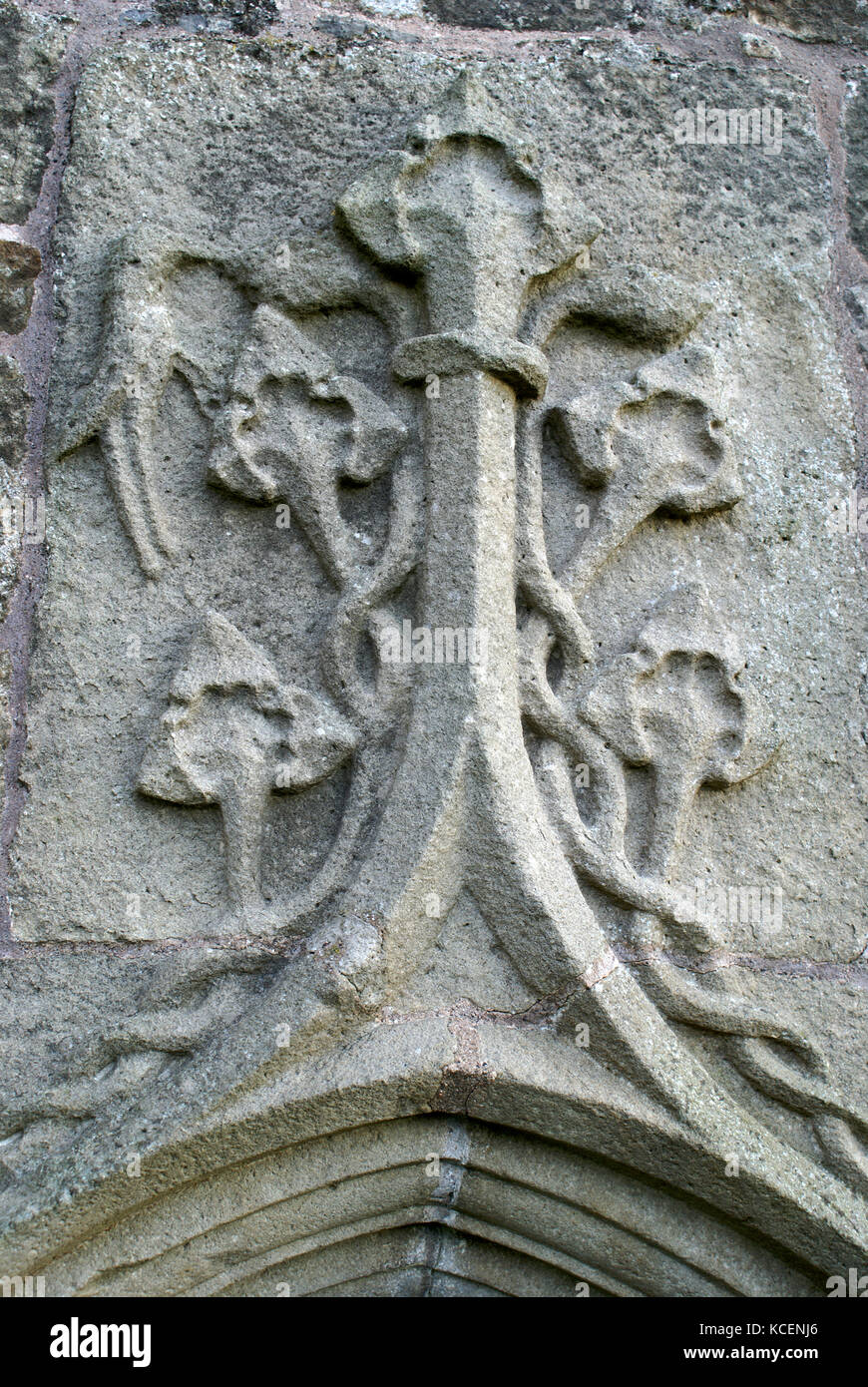 Cresta del capo del Maguire che ha aggiunto la cappella sud alla chiesa di San Molaise sul Devenish è. Foto Stock