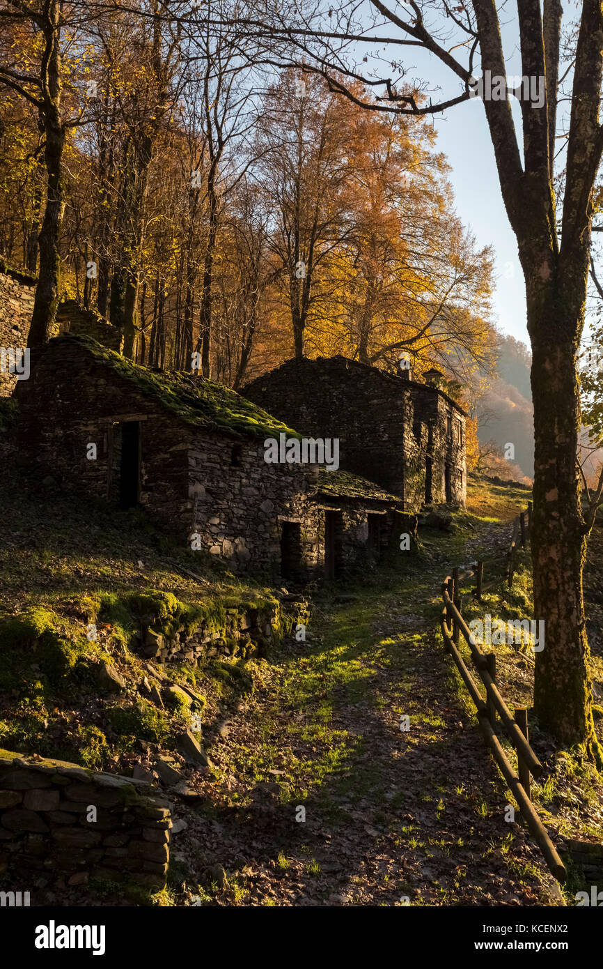 Autunno a Mulini di Piero, Curiglia con Monteviasco, val Veddasca, distretto di Varese, Lombardia, Italia. Foto Stock