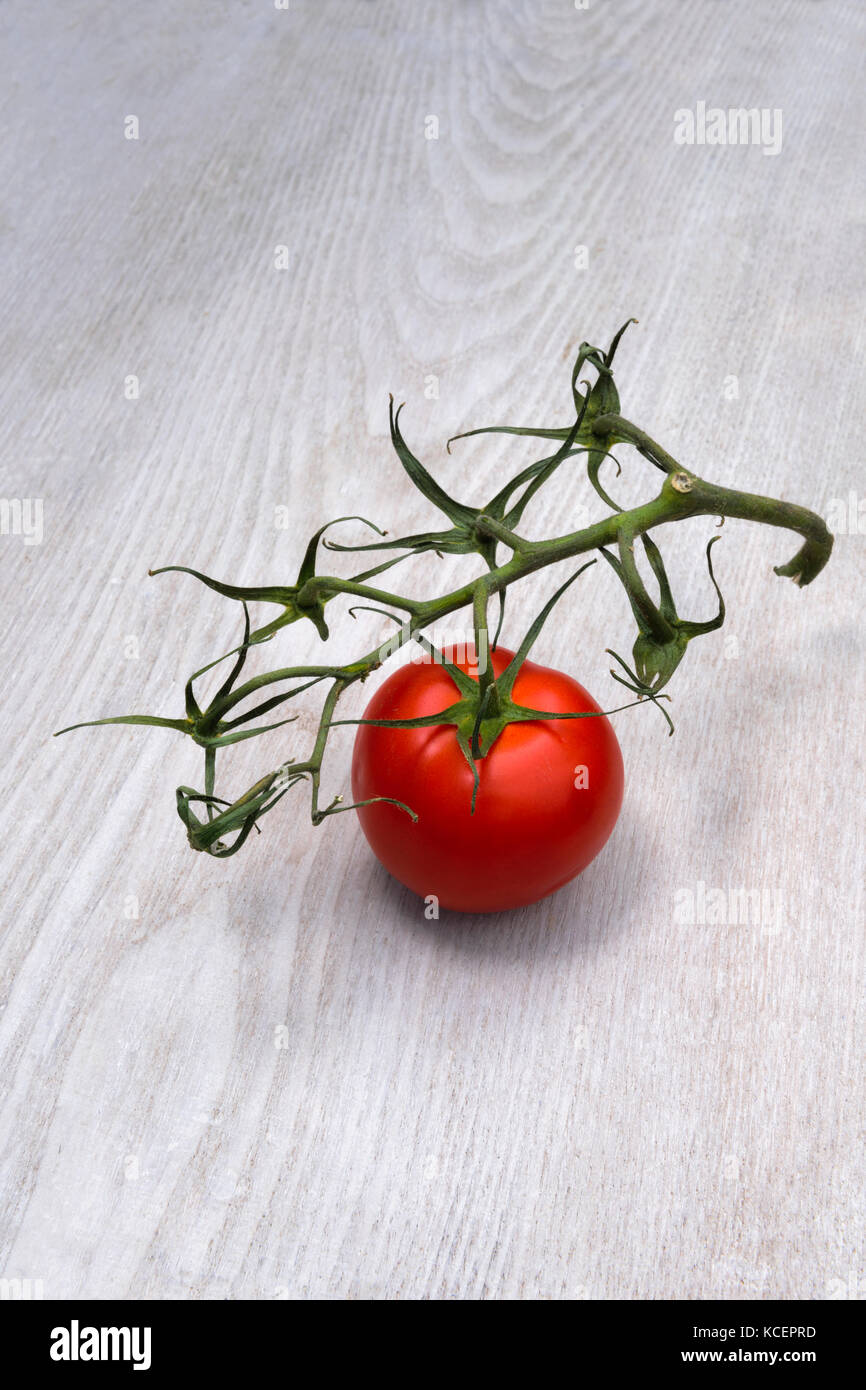 Ultimo pomodoro rimanente attaccato alla vite. Acquistato da supermercato. il vitigno è a partire fare asciugare e inaridirsi, ma l'ultimo pomodoro è ancora fresco. Foto Stock