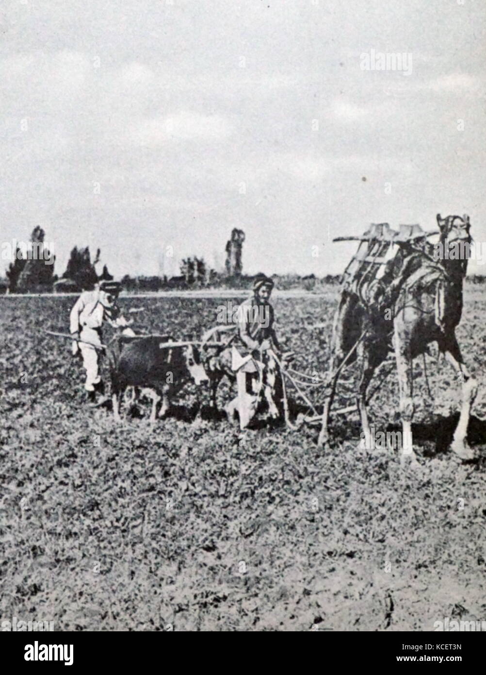 Fine del XIX secolo Farm ebraica nel quartiere centrale di Israele circa 1885 Foto Stock