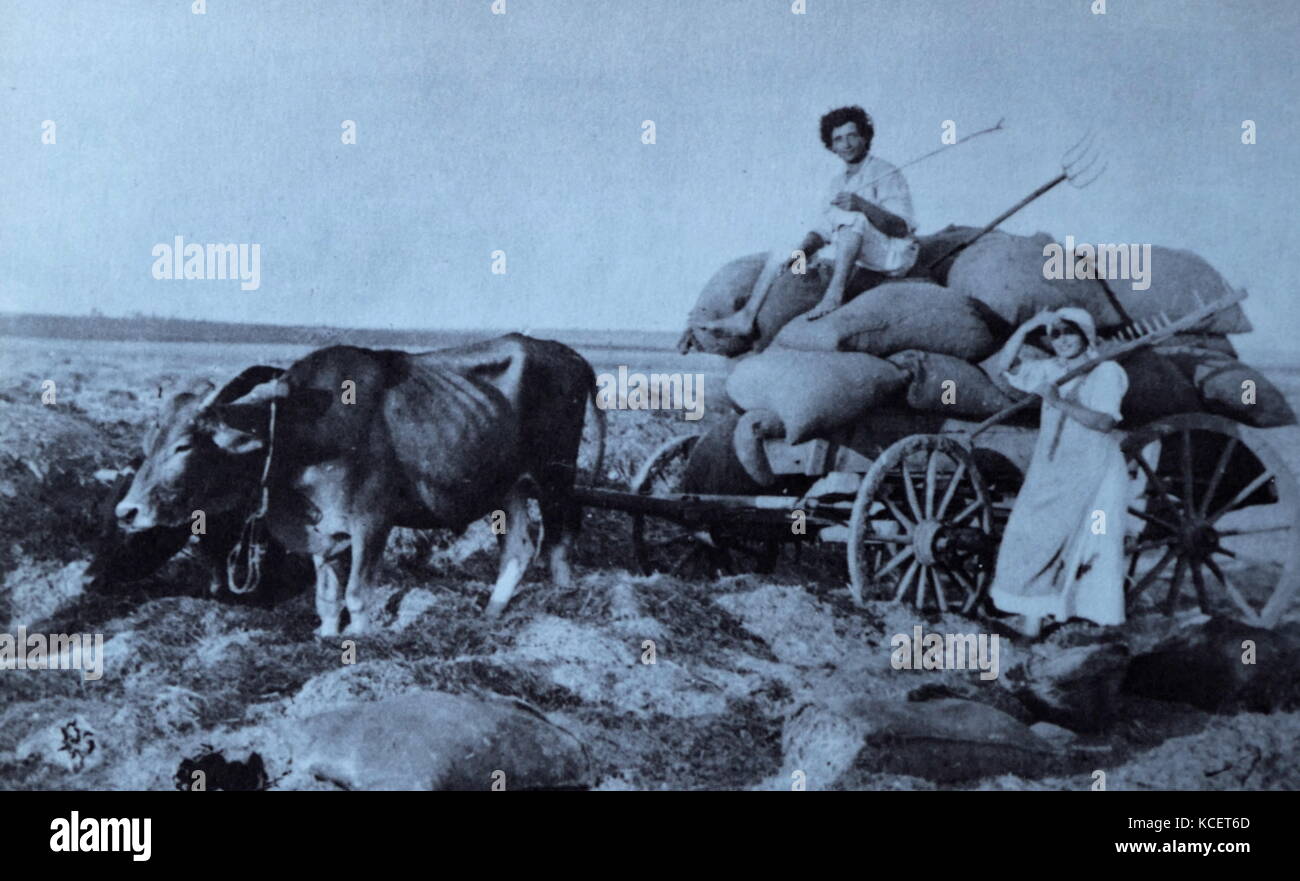 Pioneer ebraico i coloni di Hadera, Centrale (Israele) durante la dominazione ottomana 1910 Foto Stock