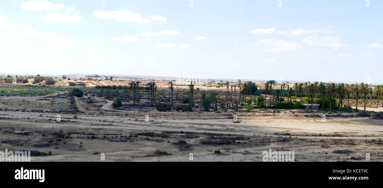 Kibbutz Revivim nel deserto del Negev, nel sud di Israele. La comunità è stata costituita nel 1943 come uno dei tre vedette, e fu inizialmente chiamato Tel HaTzofim. Durante il 1948 arabo-israeliano, Guerra Revivim è caduto dietro le linee egiziane per diversi mesi Foto Stock