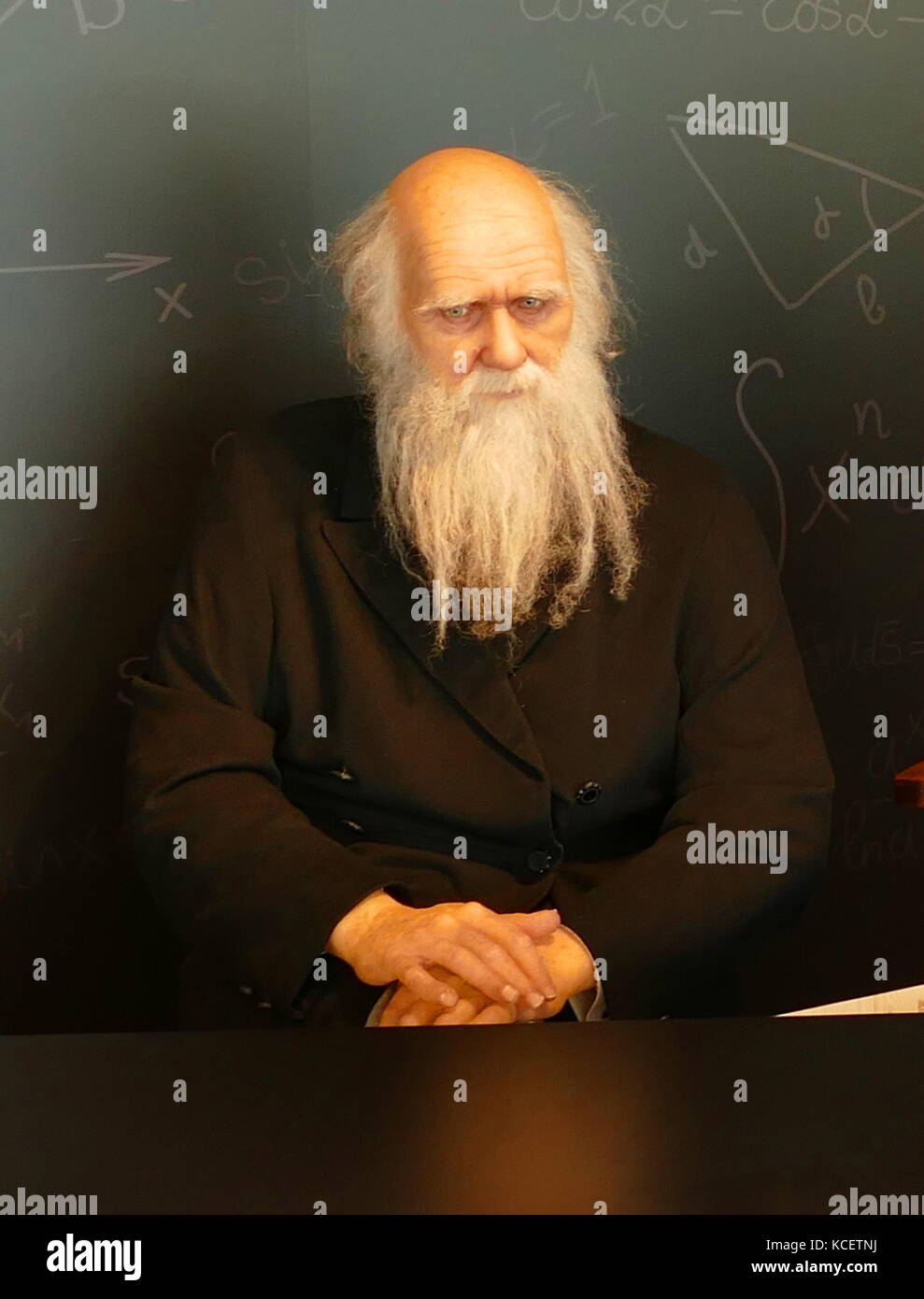 Scultura di cera (waxwork) di Albert Einstein (1879 - 1955), un tedesco-nato fisico teorico. Egli ha sviluppato la teoria della relatività generale, uno dei due pilastri della fisica moderna (a fianco di meccanica quantistica). CosmoCaixa Museum, Barcelona, Spagna Foto Stock
