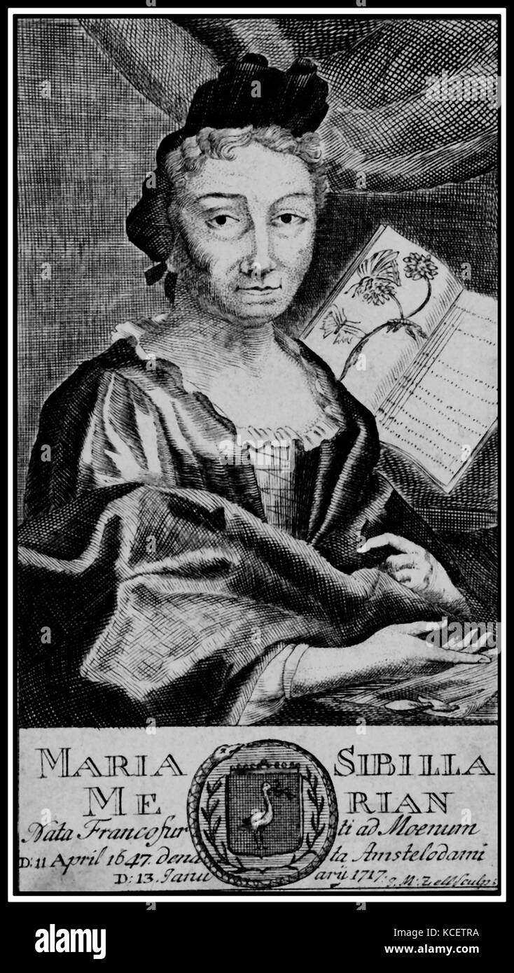 Maria Sibylla Merian (Francoforte, 2 Aprile 1647 - 13 gennaio 1717) era un naturalista tedesco, explorer e pittore Foto Stock
