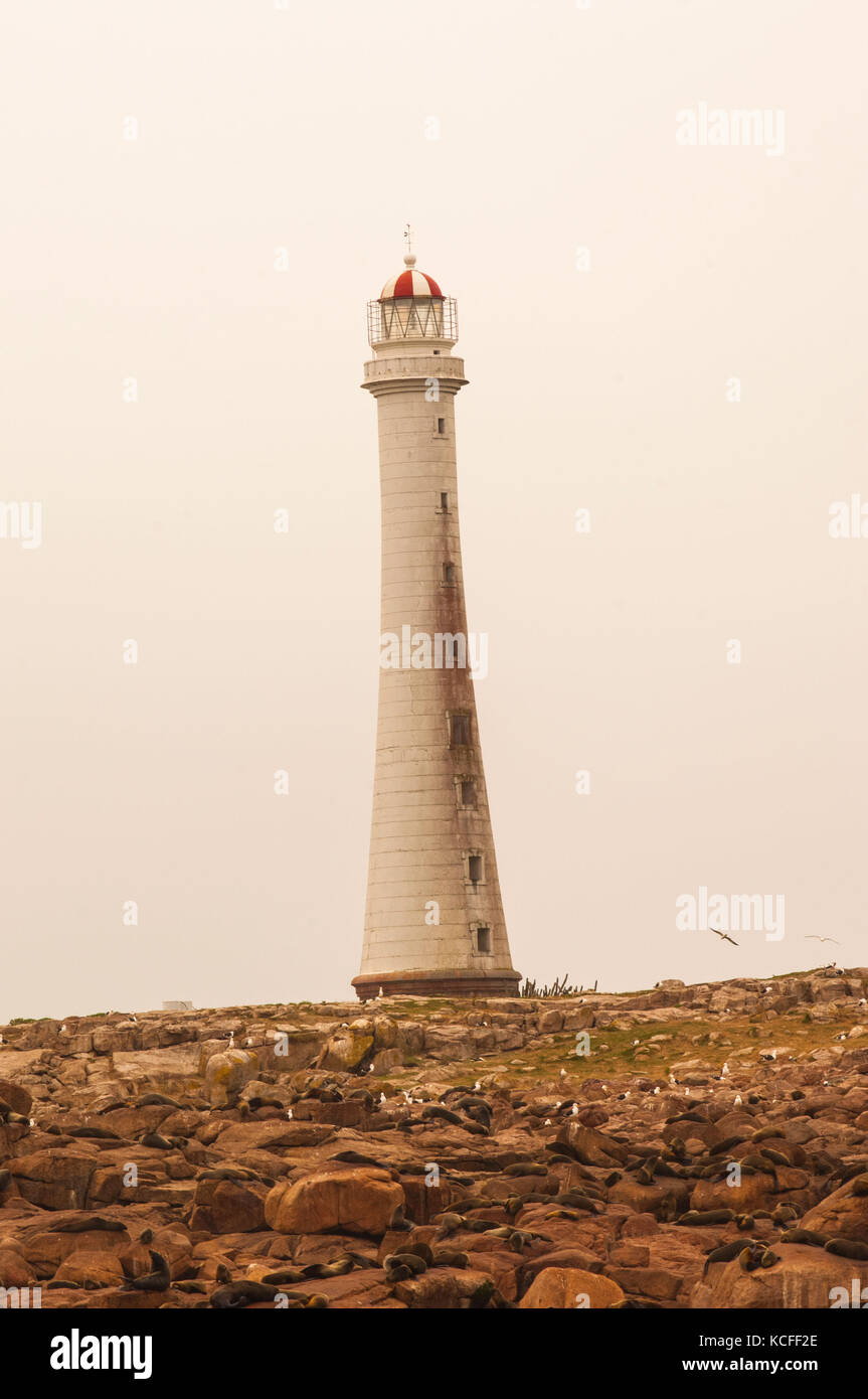 Vista del faro, Isla de Lobos, Uruguay Foto Stock