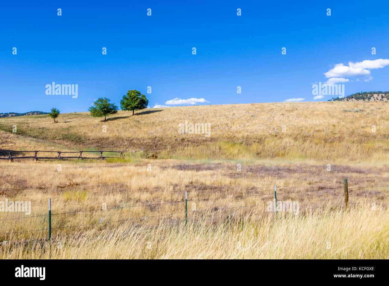 Colline fuori winthrop nello stato di Washington negli stati uniti Foto Stock