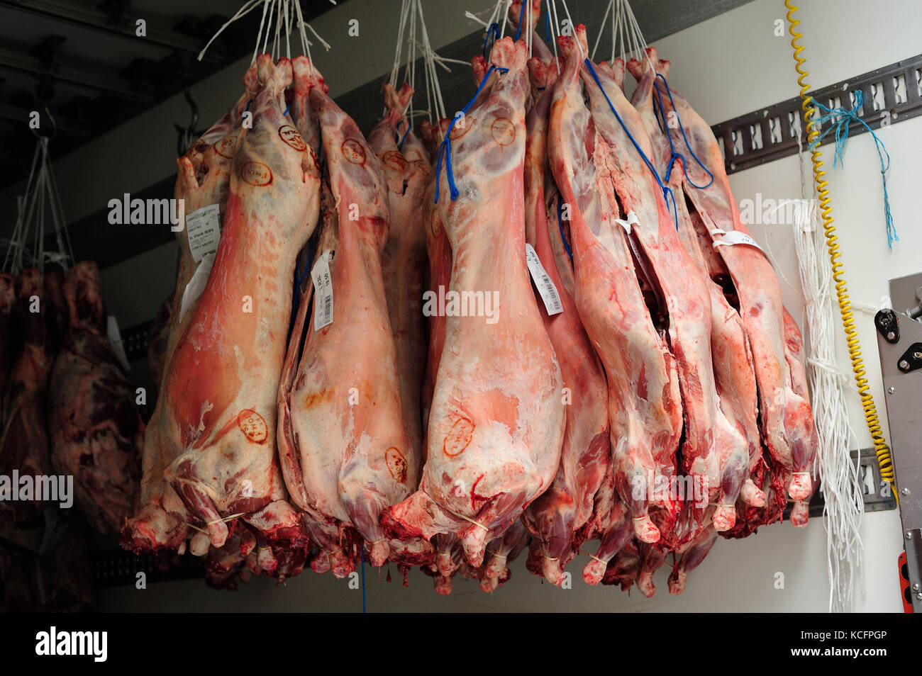 Appendere la carne di maiale, SAINT QUENTIN mercato coperto, 10th Arrondissement, Parigi, Francia Foto Stock