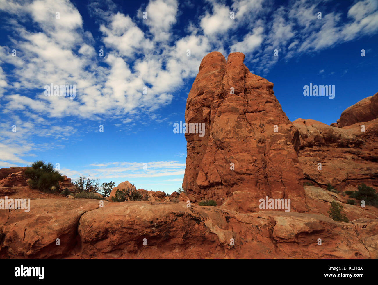 Rosso towereing formazioni rocciose del deserto dello Utah Foto Stock