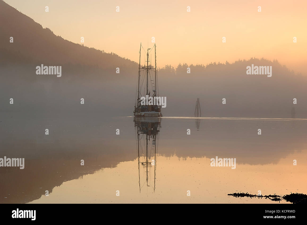 Ingresso Ucluelut una nebbiosa mattina di ottobre Ucluelet, Isola di Vancouver, BC, Canada Foto Stock