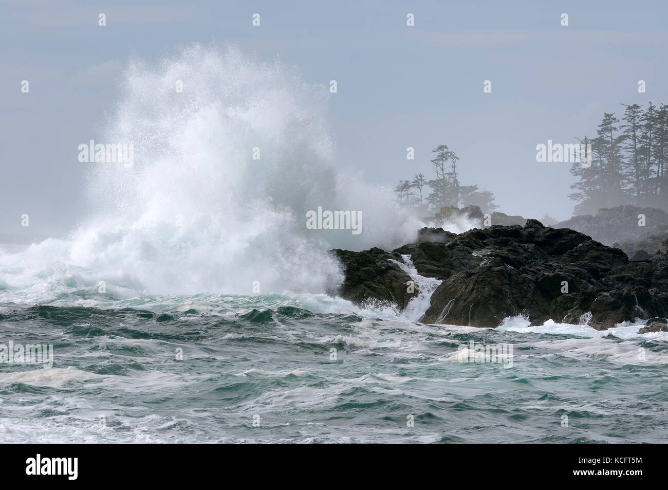 Spiaggia Grande, Wild Pacific Trail, Ucluelet, Isola di Vancouver, BC, Canada Foto Stock