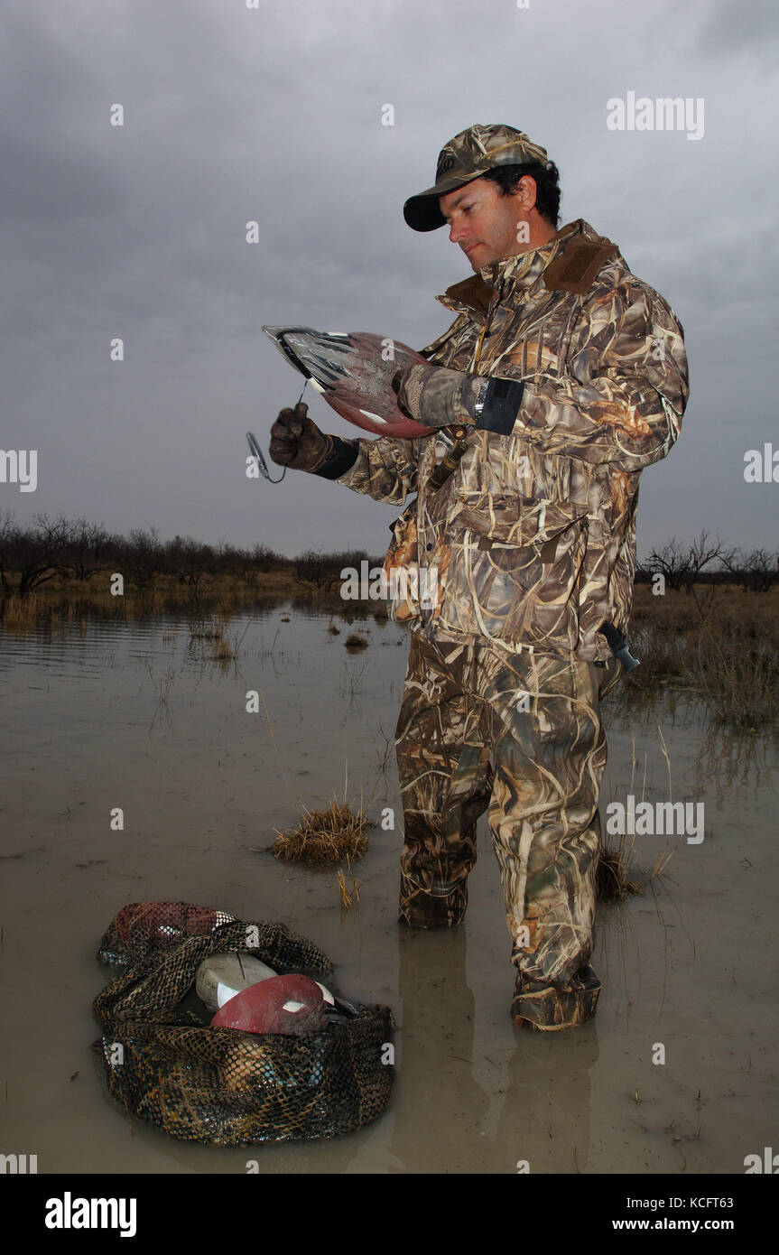 Un cacciatore di anatre in camuffamento espone le sue battute di caccia decoy in South Texas marsh Foto Stock