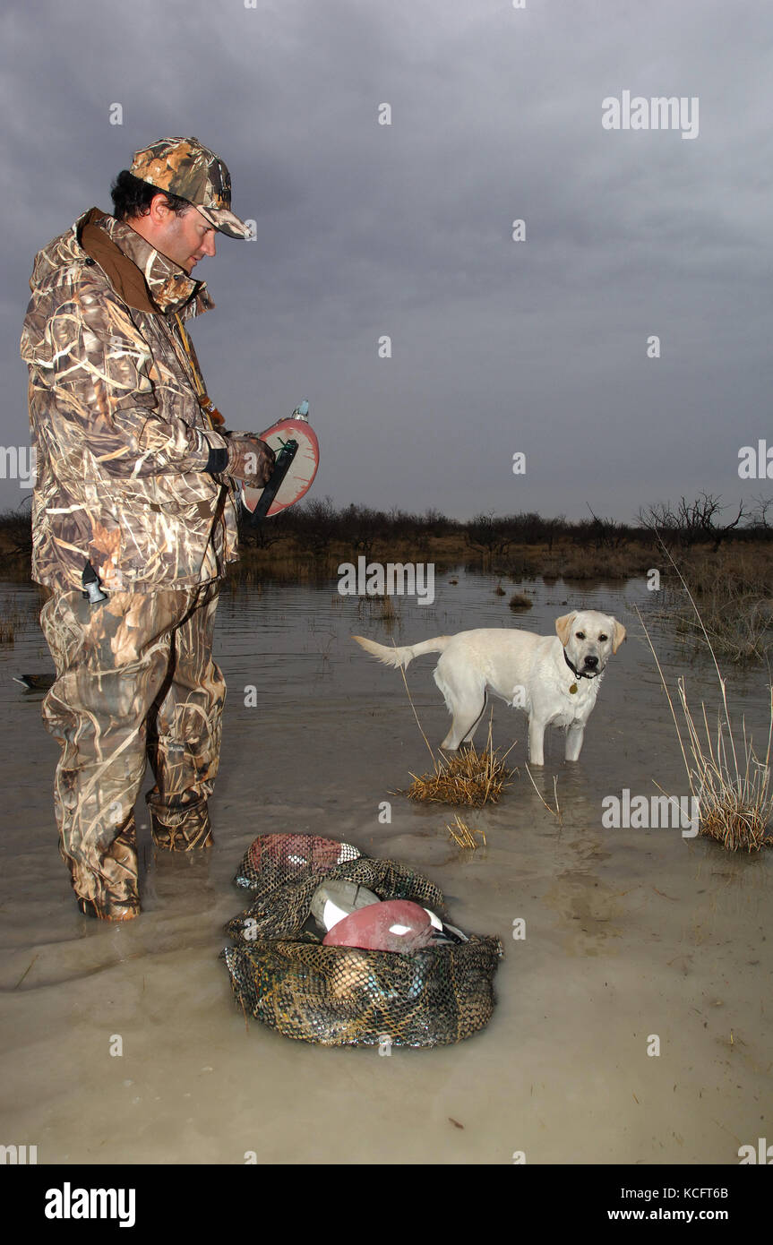 Un cacciatore di anatre in camuffamento espone le sue battute di caccia decoy in South Texas marsh Foto Stock