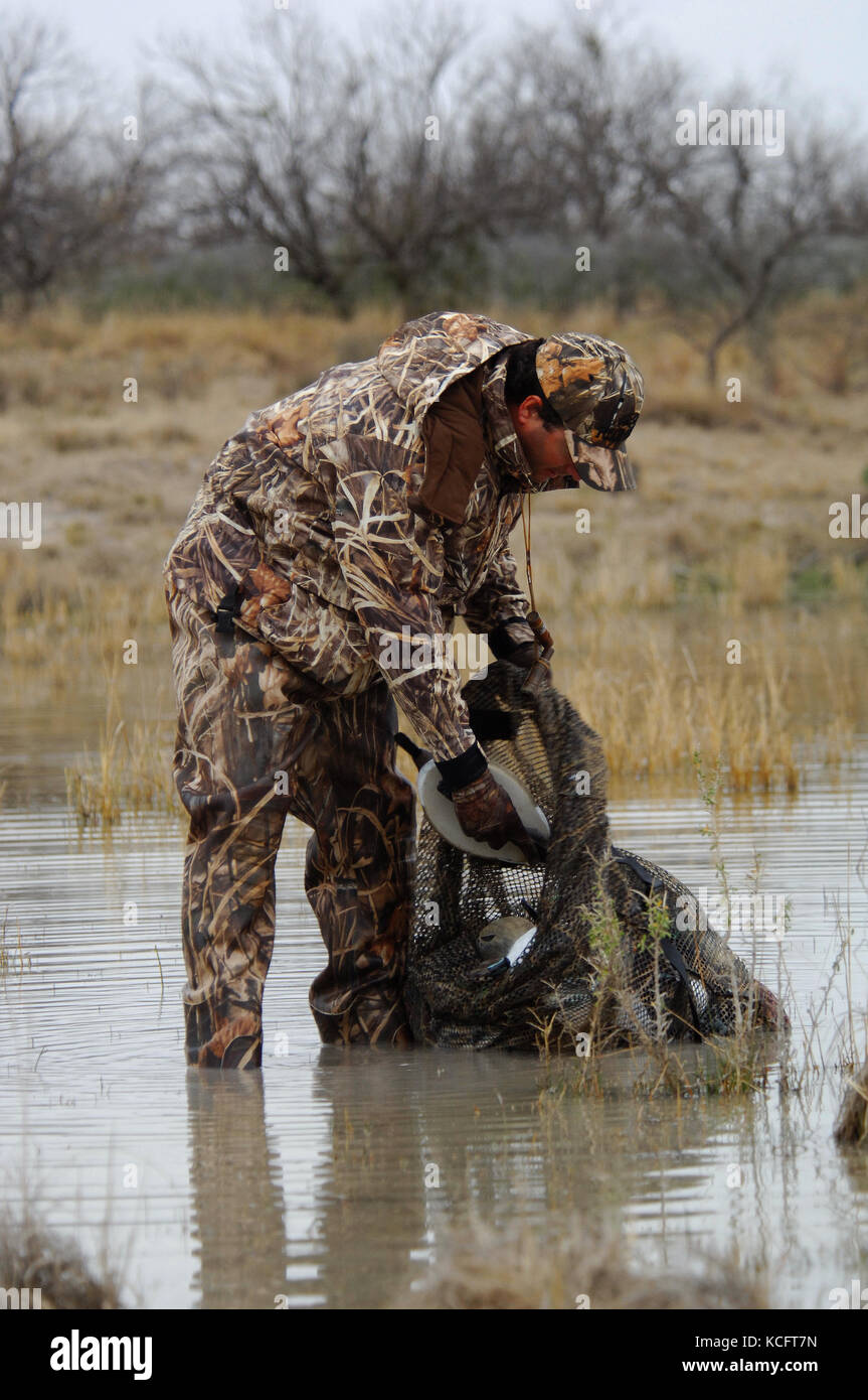 Un cacciatore di anatre in camuffamento espone le sue battute di caccia decoy in South Texas marsh Foto Stock