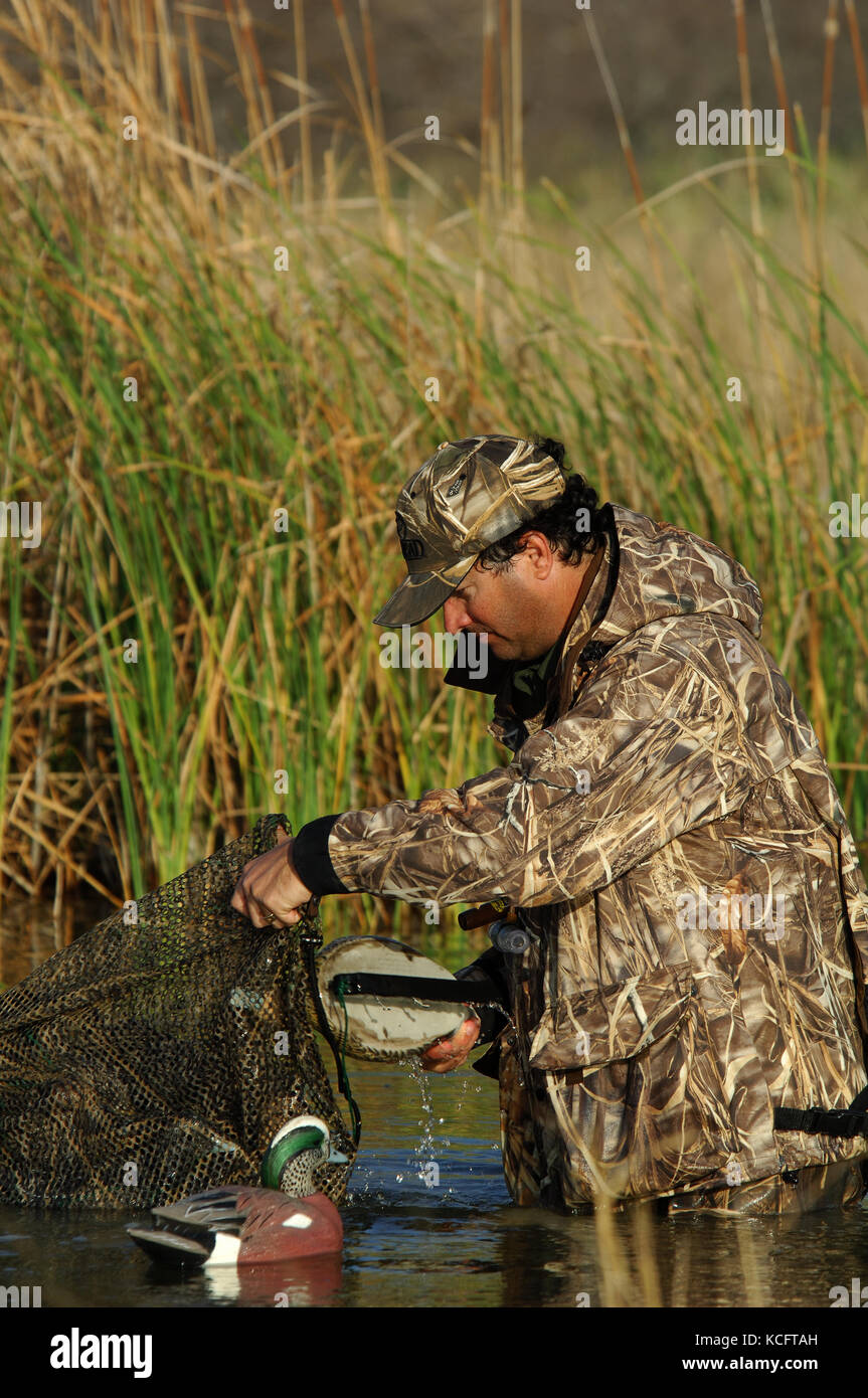 Un cacciatore di anatre in camuffamento espone le sue battute di caccia decoy in South Texas marsh Foto Stock