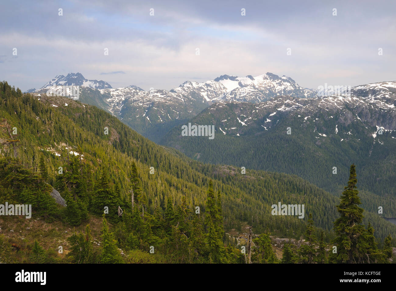 Strathcona Provincial Park, l'isola di Vancouver, BC, Canada Foto Stock