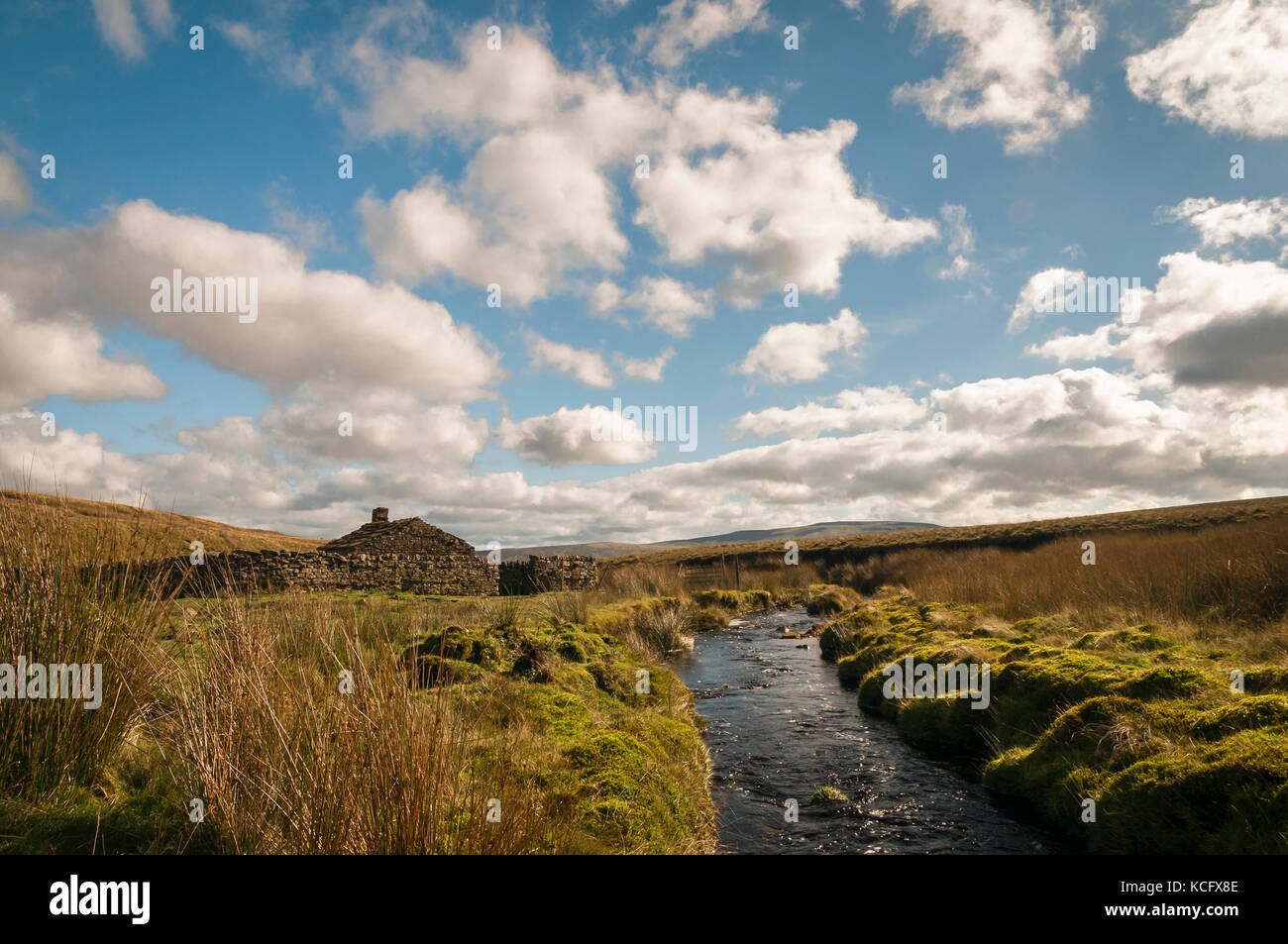 Un ovile e shepards hut su birkdale comune, in alto sulla North Yorkshire Moors, Inghilterra. Foto Stock