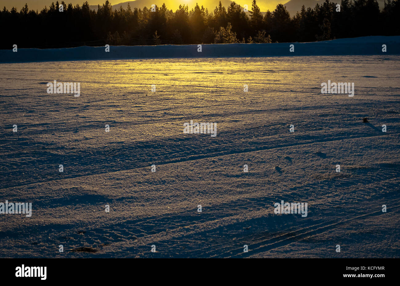 Paesaggio artico in Lapponia Finlandia Foto Stock
