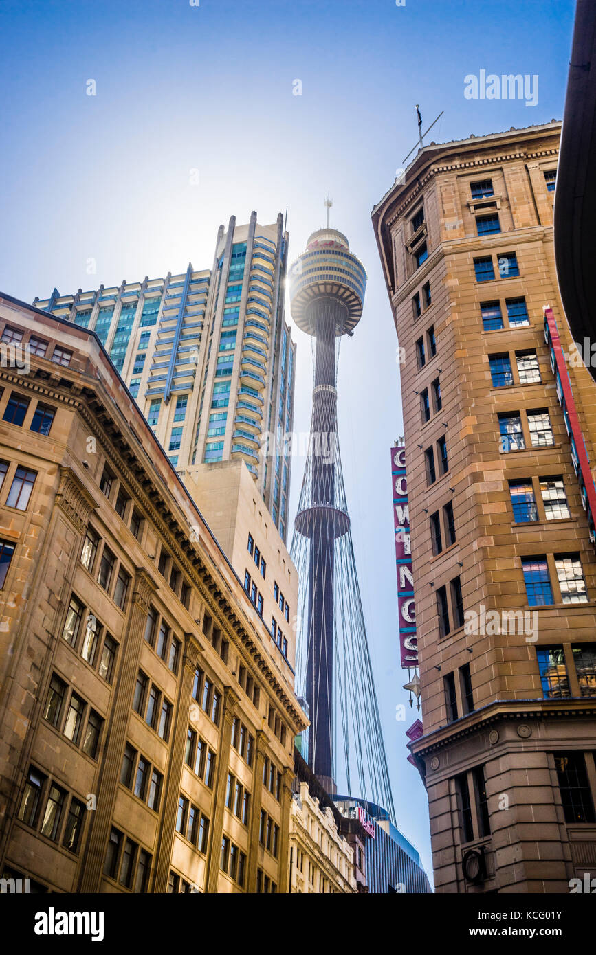 Australia, Nuovo Galles del Sud, Sydney, in vista della Torre di Sydney da Market Street, con 309 metri di Sydney struttura più alto Foto Stock