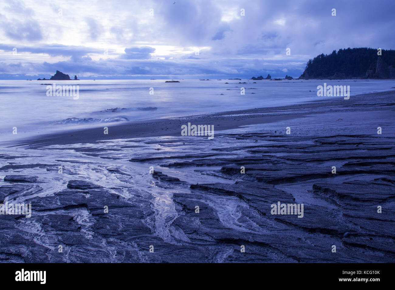Rialto Beach Parco nazionale di Olympic nella contea di Clallam Seattle Washington Foto Stock