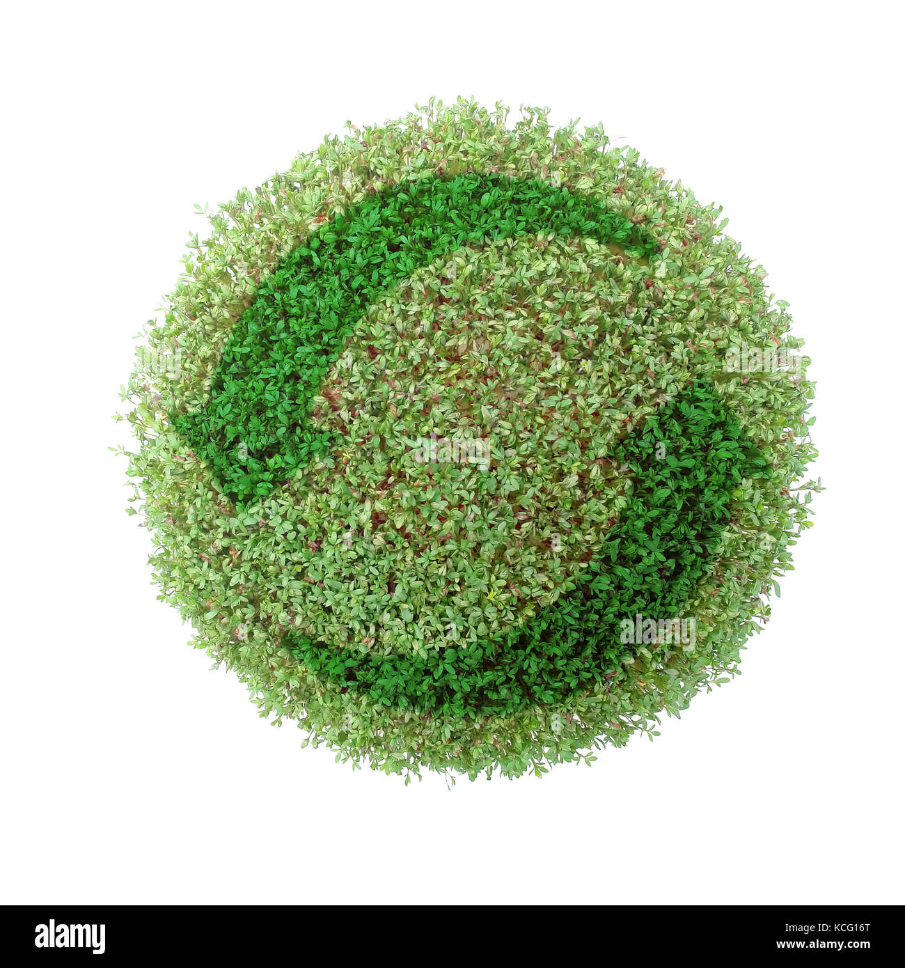 Pianta verde globo con due-freccia simbolo di riciclaggio su sfondo bianco Foto Stock