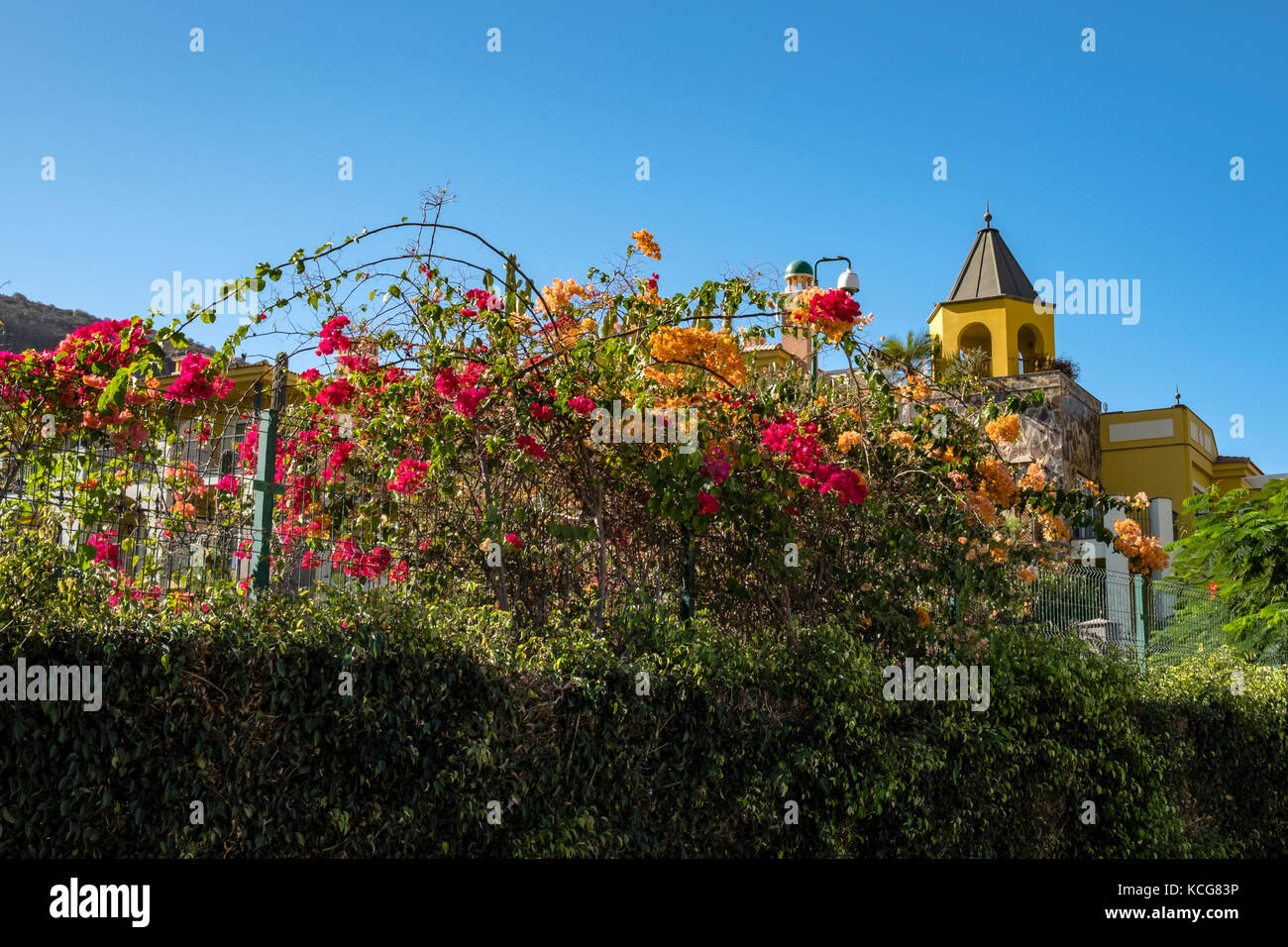 Bella Puerto de Mogan sull'isola di Gran Canaria, Spagna Foto Stock