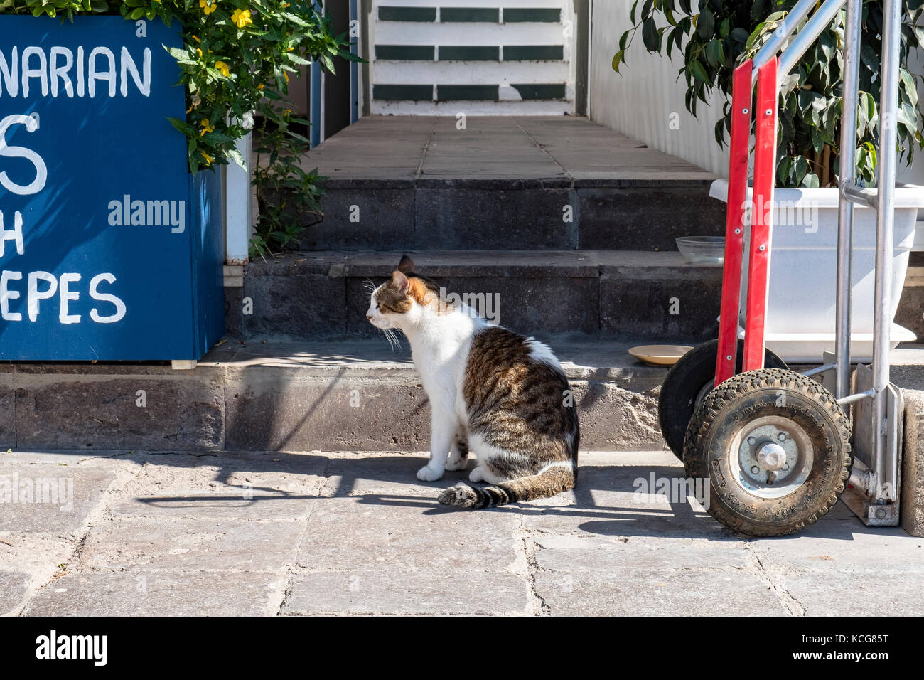 Bella Puerto de Mogan sull'isola di Gran Canaria, Spagna Foto Stock