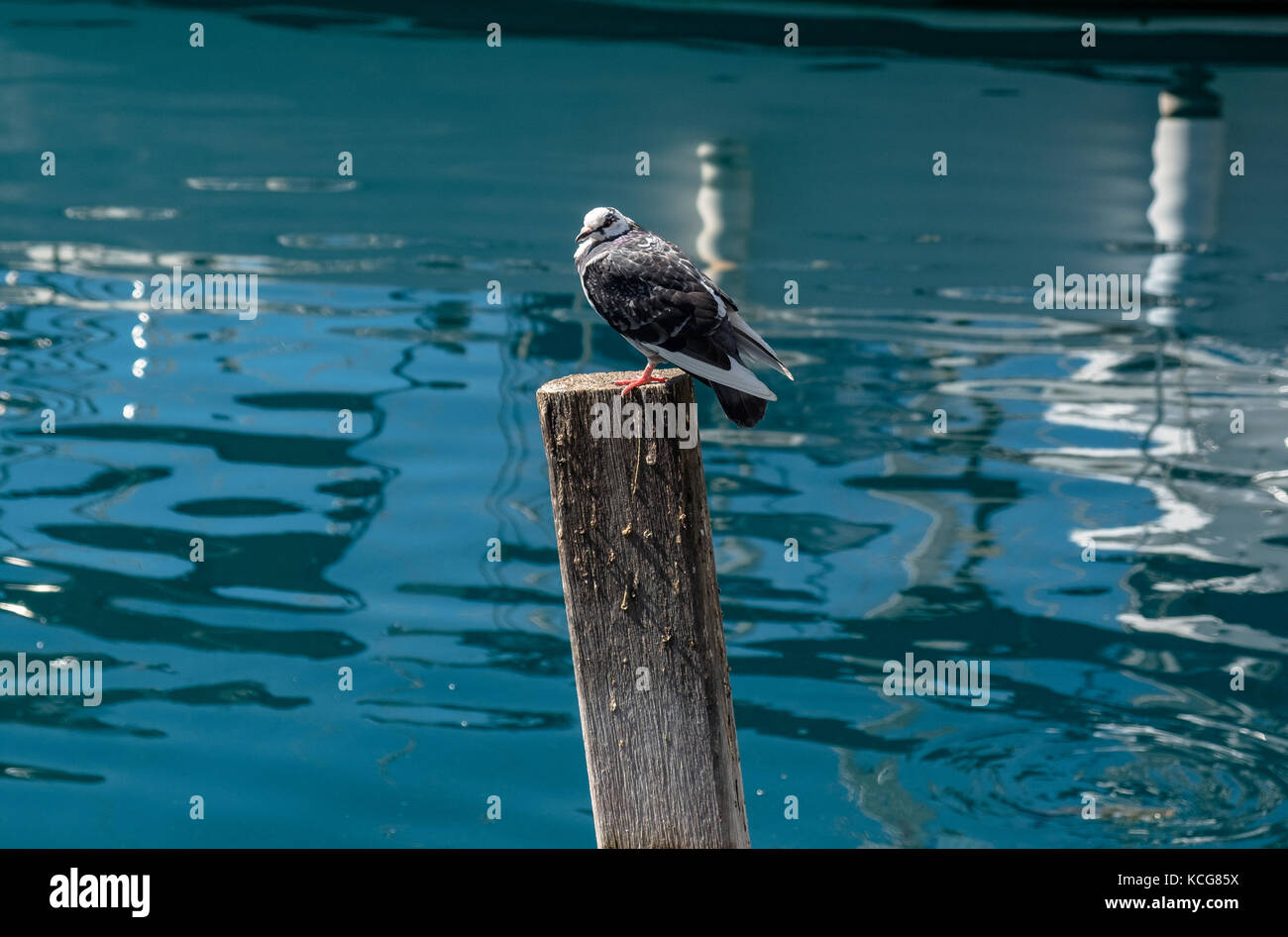 Bella Puerto de Mogan sull'isola di Gran Canaria, Spagna Foto Stock
