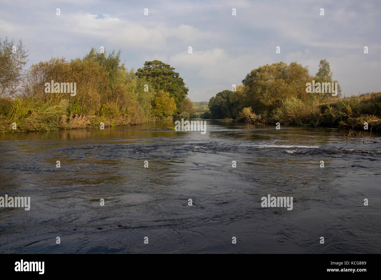 Usura del fiume nella contea di Durham in autunno sunshine Foto Stock
