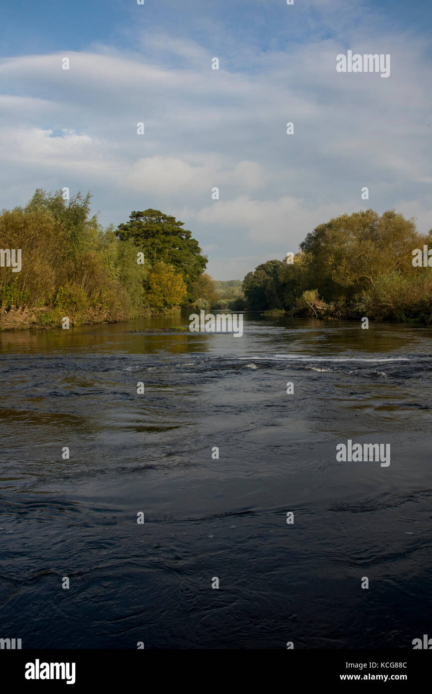 Usura del fiume nella contea di Durham in autunno sunshine Foto Stock