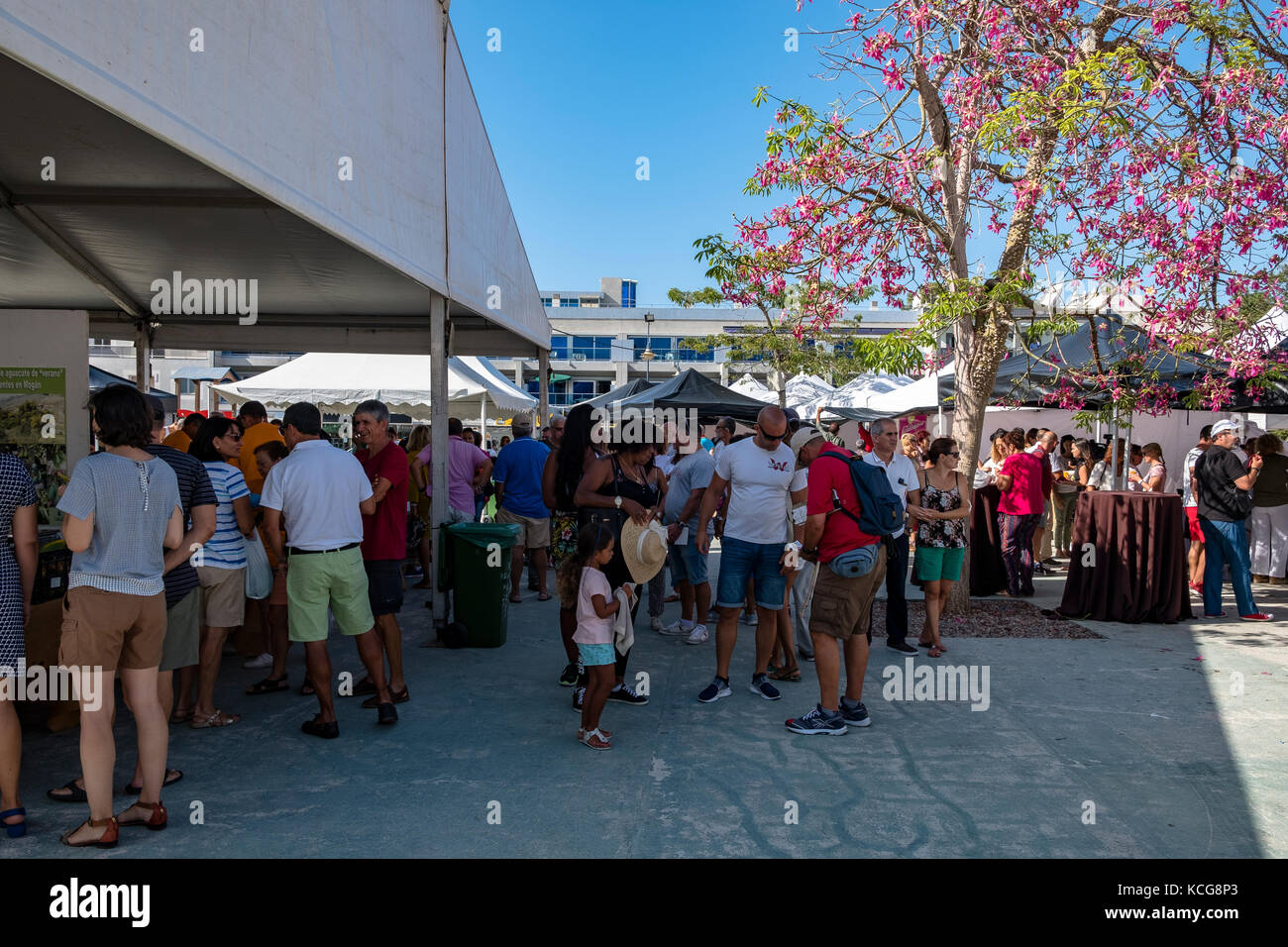 Bella Puerto de Mogan sull'isola di Gran Canaria, Spagna Foto Stock