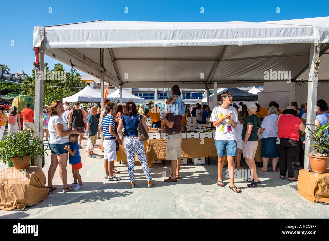 Bella Puerto de Mogan sull'isola di Gran Canaria, Spagna Foto Stock
