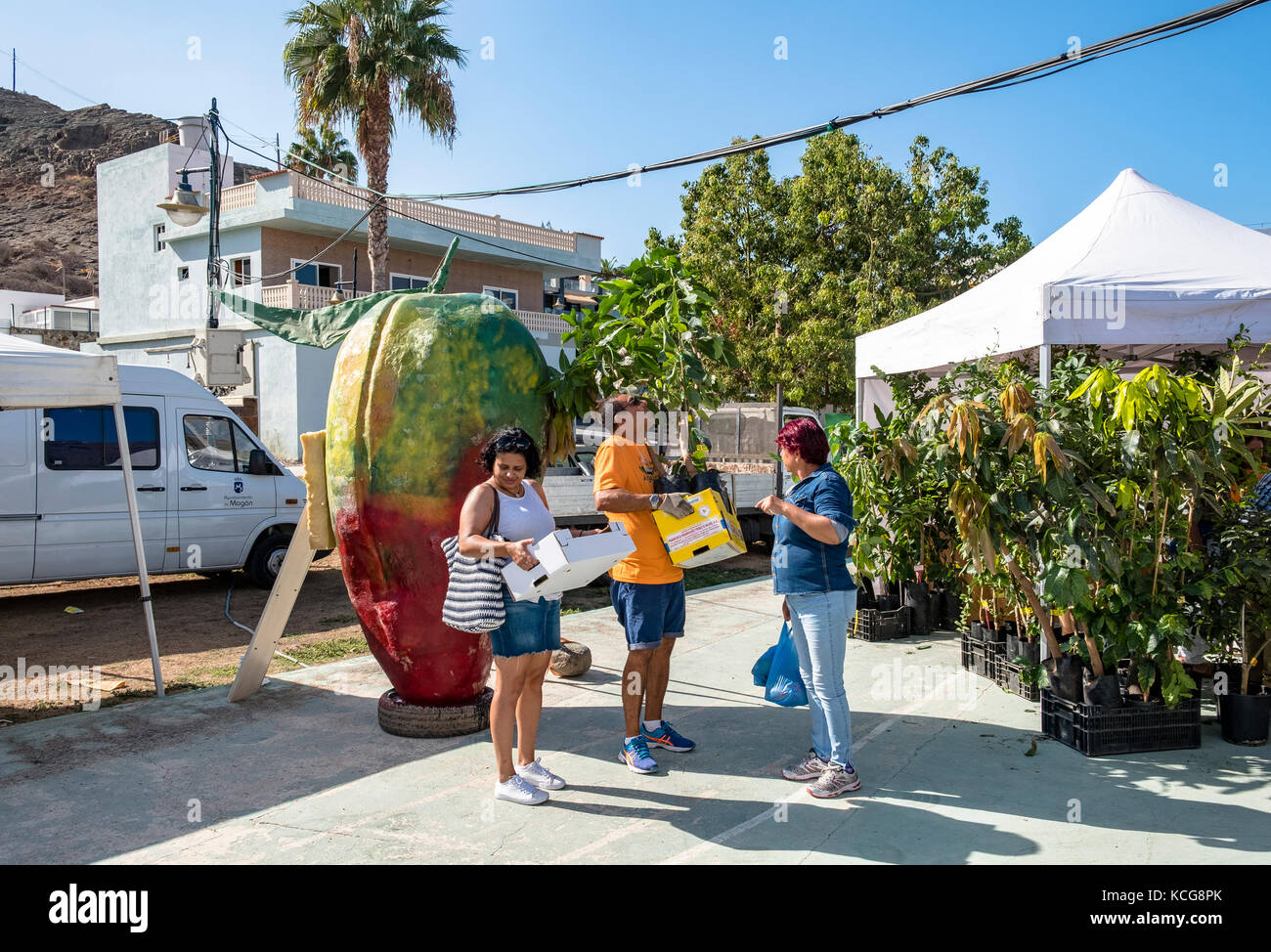 Bella Puerto de Mogan sull'isola di Gran Canaria, Spagna Foto Stock
