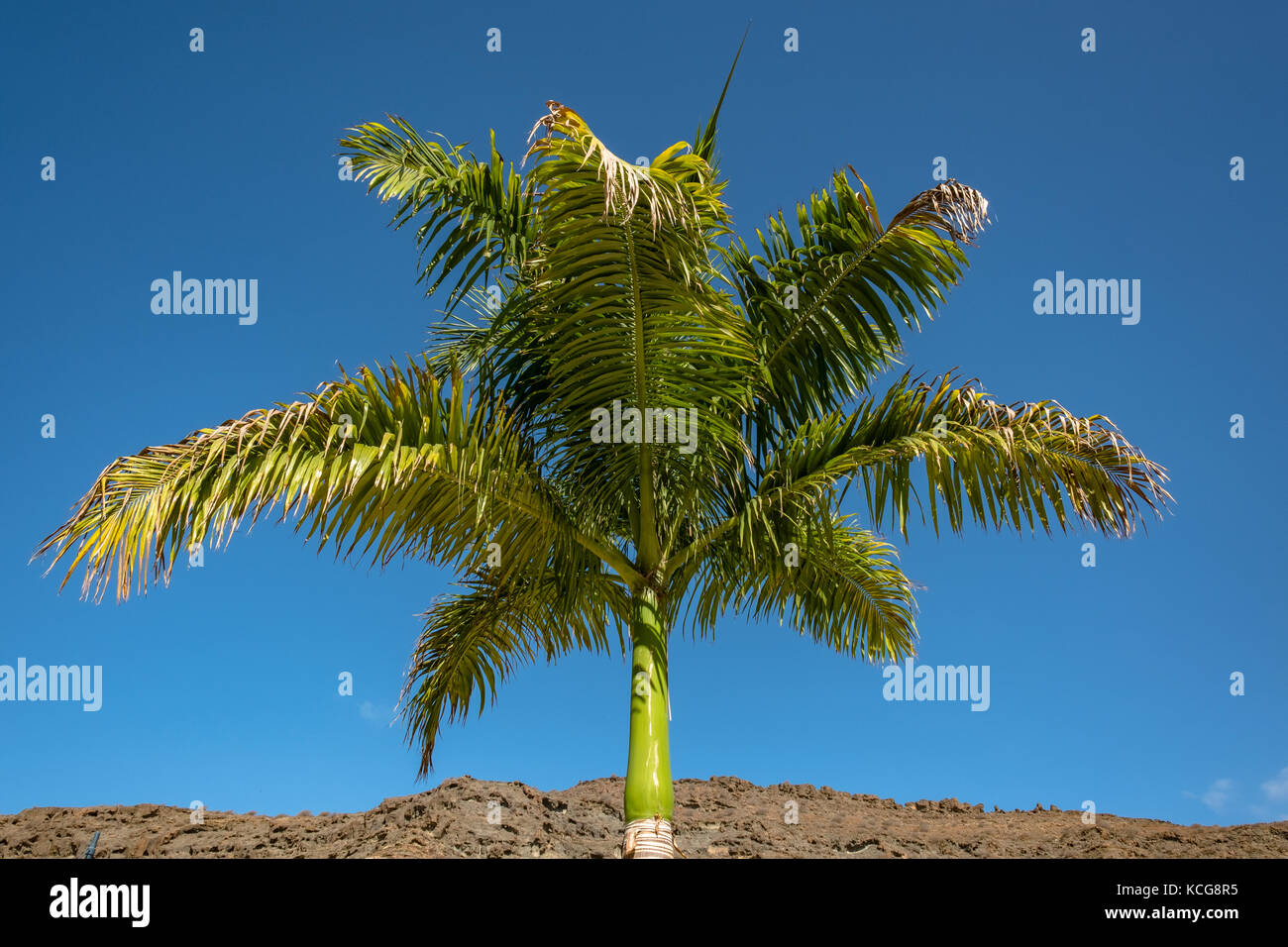 Bella Puerto de Mogan sull'isola di Gran Canaria, Spagna Foto Stock