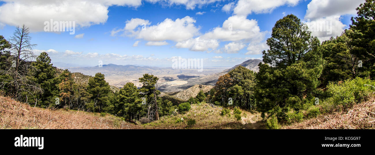 Scoperta madrense expedici-n (MDE) greatergood.org, en la sierra la elenita, para la realizaci-n de onu inventario biol-gico con onu gran grupo de par Foto Stock