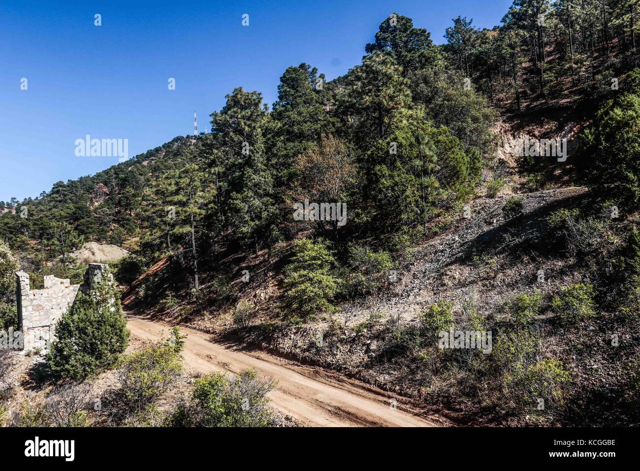 Scoperta madrense expedici-n (MDE) greatergood.org, en la sierra la elenita, para la realizaci-n de onu inventario biol-gico con onu gran grupo de par Foto Stock