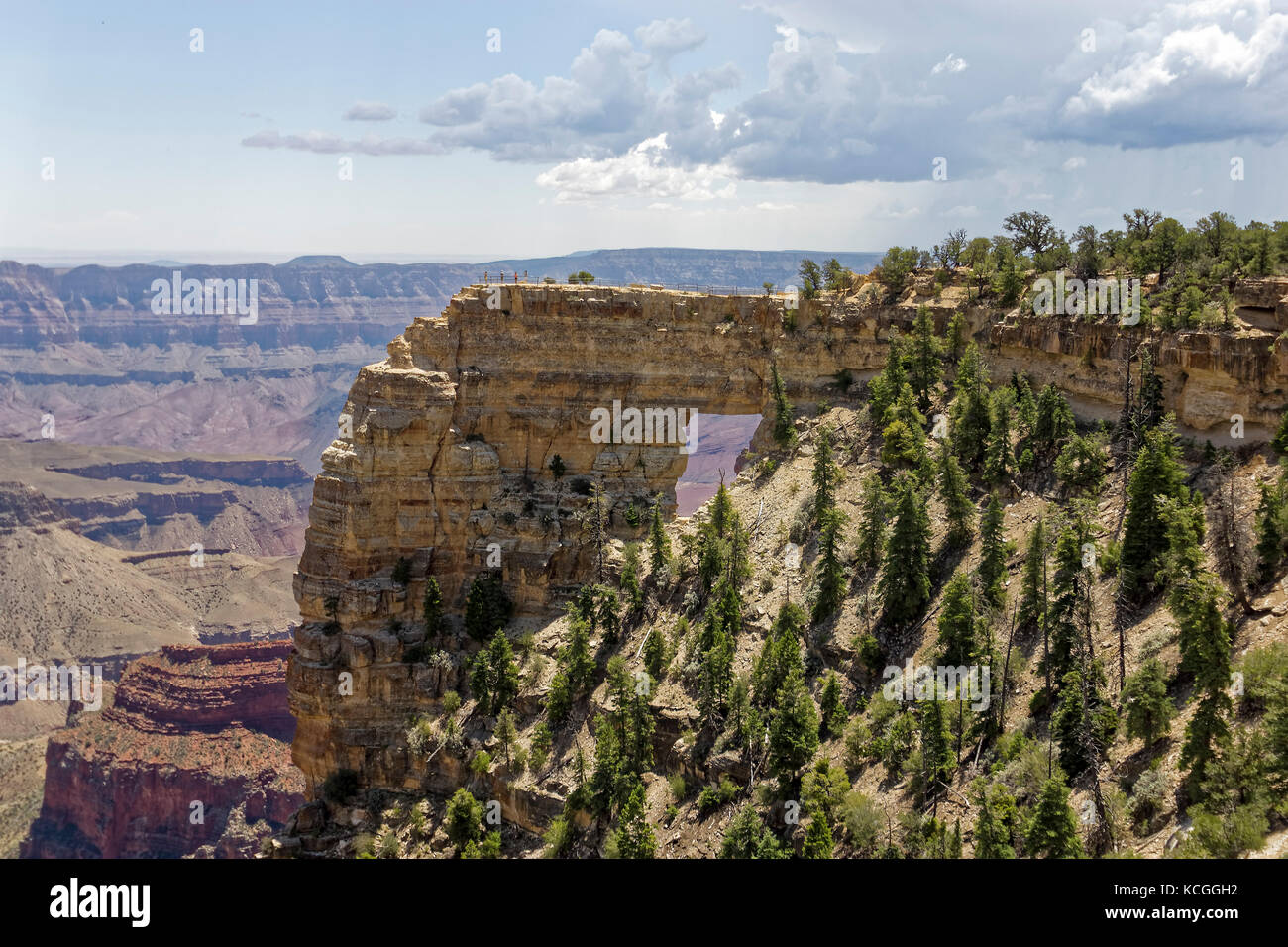 Angelo della finestra al Grand Canyon. Foto Stock