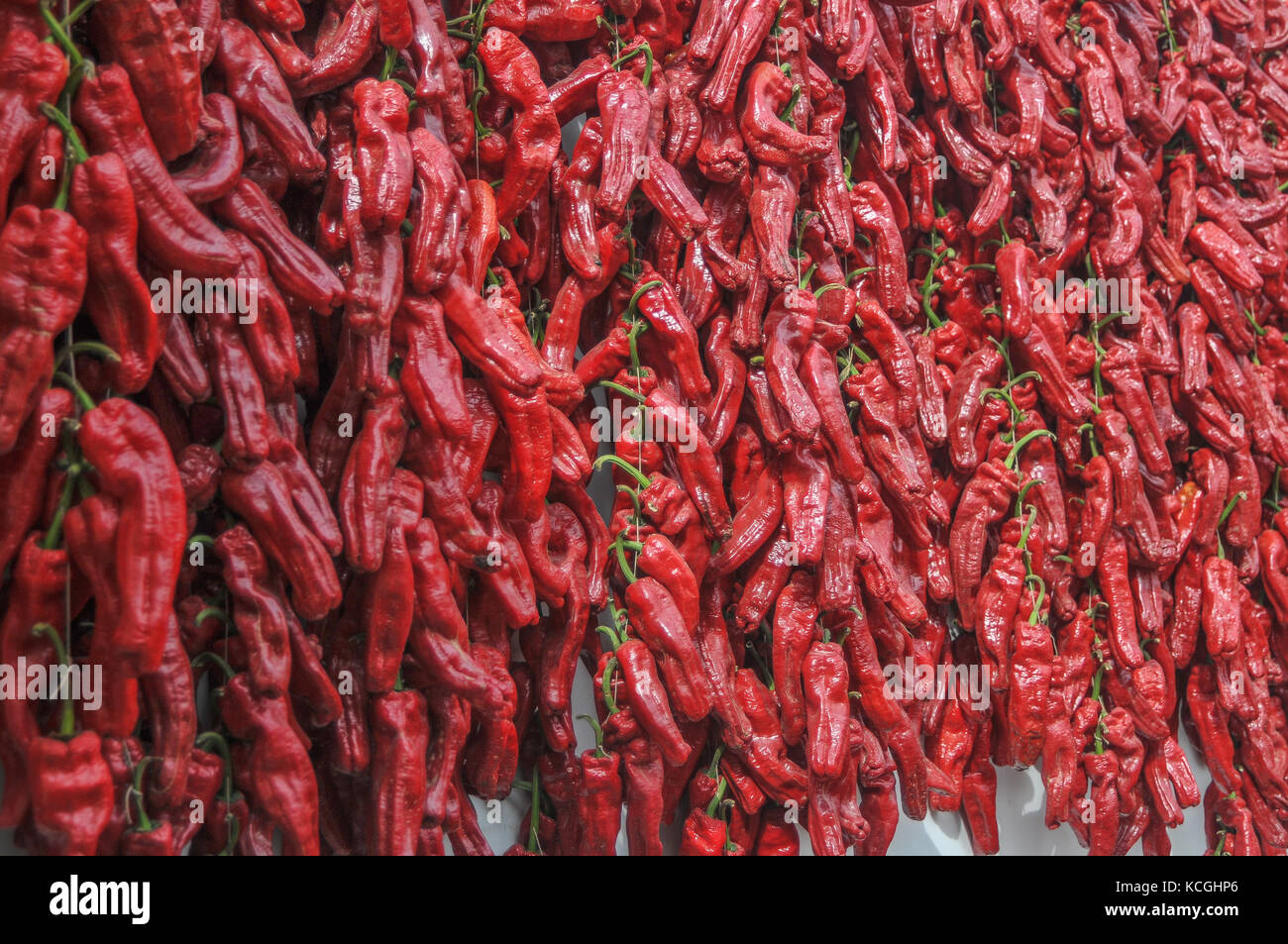 Pimientos a Puente La Reina, in Navarra, Spagna Foto Stock