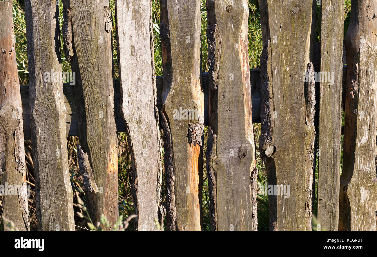 Vecchia staccionata in legno fatto di listelli, installato in campagna. foto ravvicinata di una parte di una struttura. Foto Stock