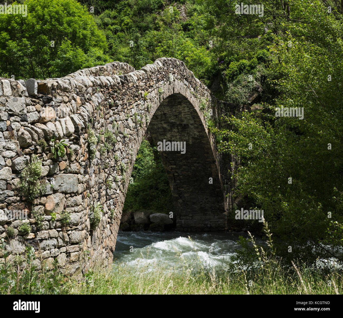 Principato di Andorra. pont de la margineda, o la margineda bridge a la margineda. L'unico arco hump-backed bridge risale al tardo medio Foto Stock