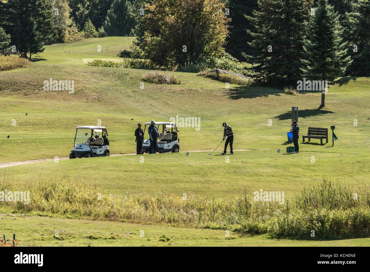 Wilno ontario canada 09.09.2017 - giocatore di golf Golf giocatori che giocano su verde gras su un corso outdoor tee-shot canadese di eventi Foto Stock