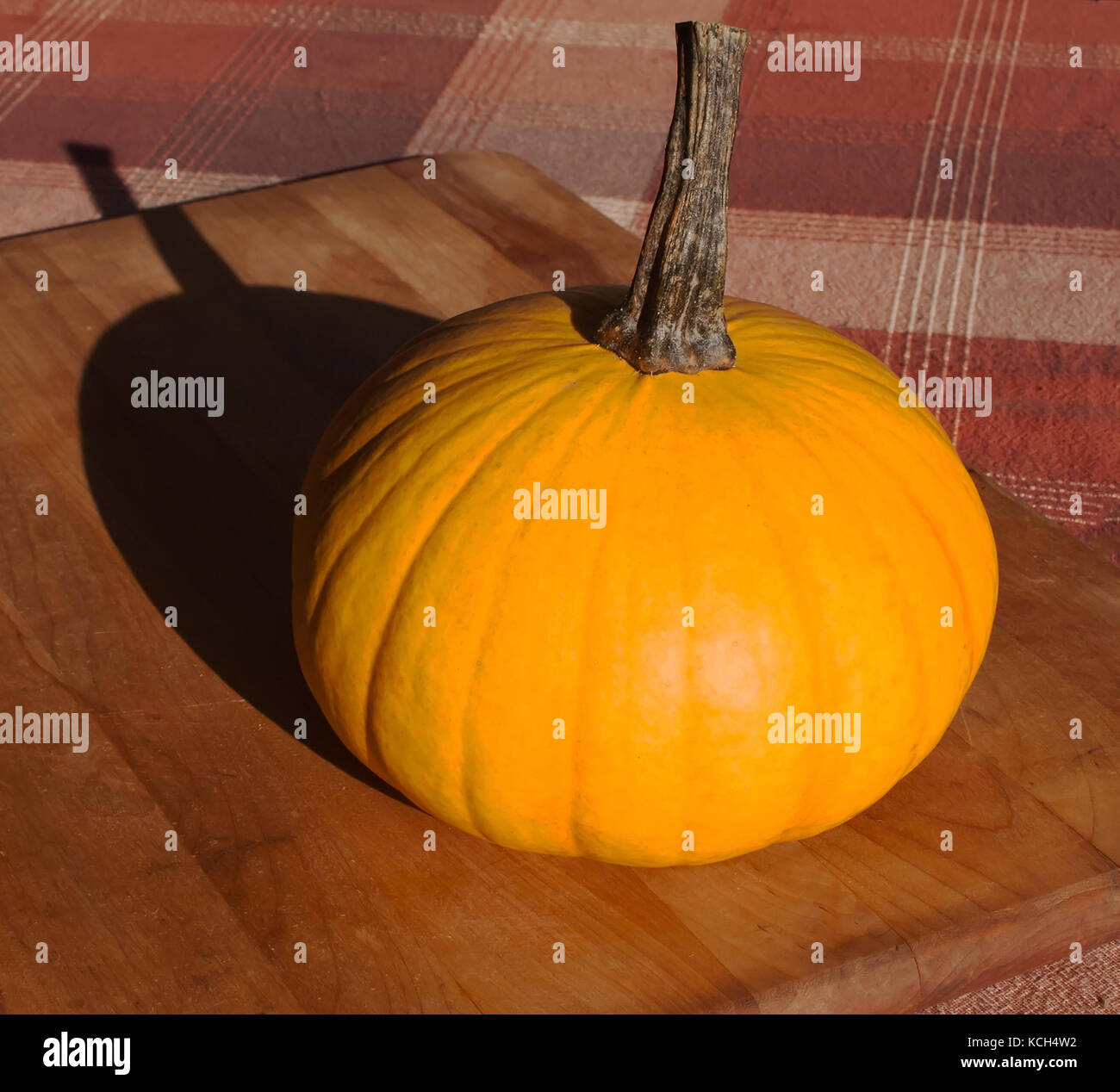 Una zucca al pomeriggio di sole proietta la sua ombra sul tagliere di legno it;s posto a. Al di sotto del bordo è un plaid tovaglia Foto Stock