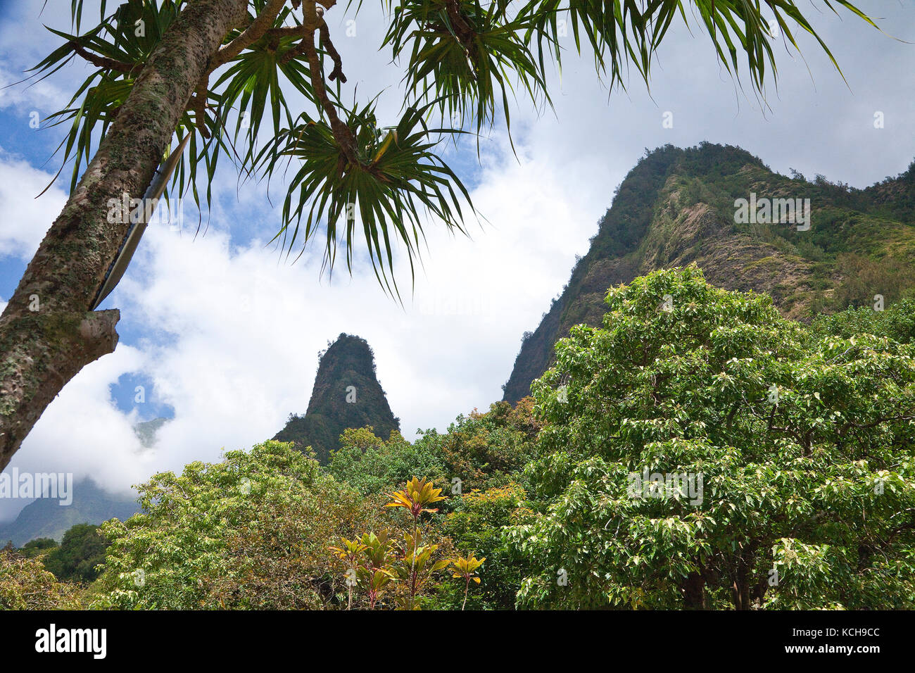 Iao ago, iao Valley State Park, Maui, Hawaii Foto Stock