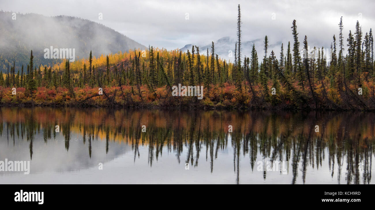 Paesaggio autunnale lungo la Highway 1, vicino al lago Mentasta, Alaska, Nord America. Foto Stock
