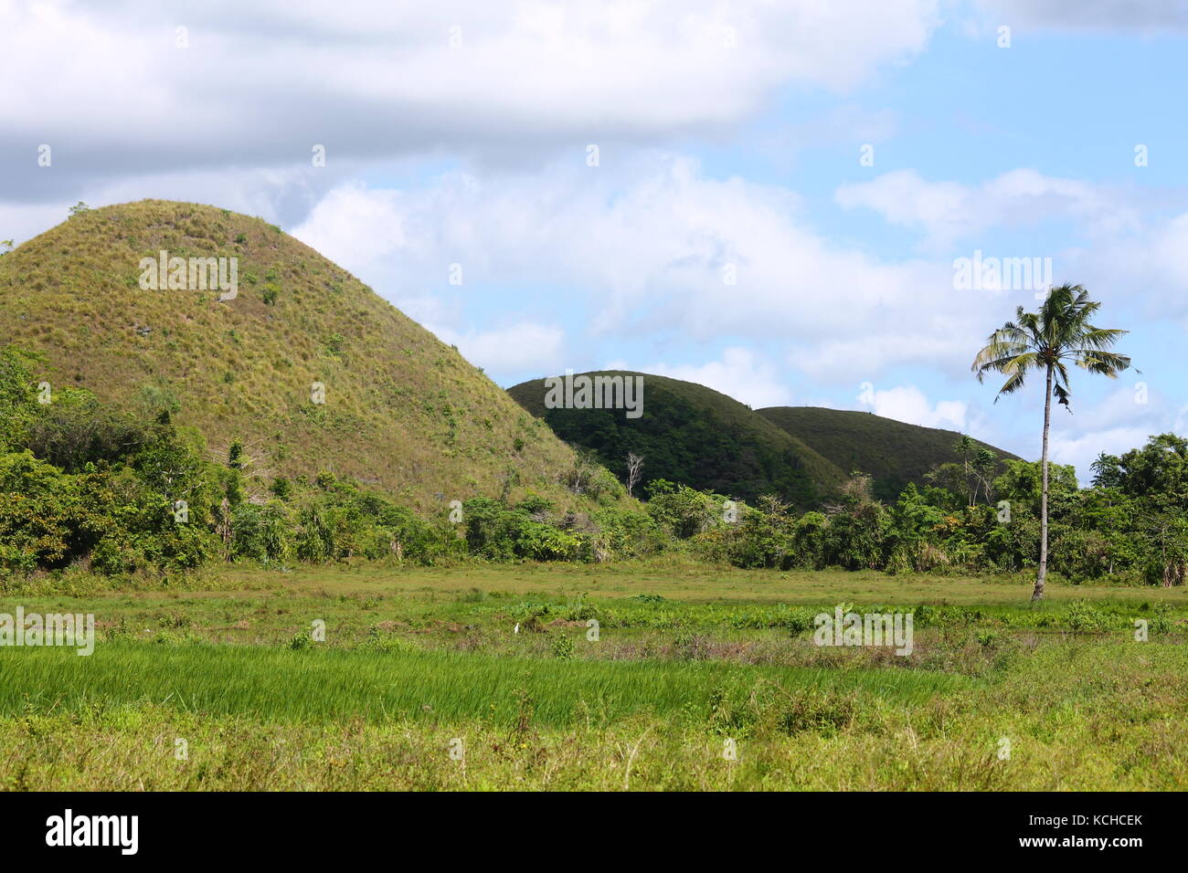 Chocolate Hills sono una formazione geologica in Bohol Provincia delle Filippine che sono effettivamente fatti di erba-coperto ambiente carsico Foto Stock