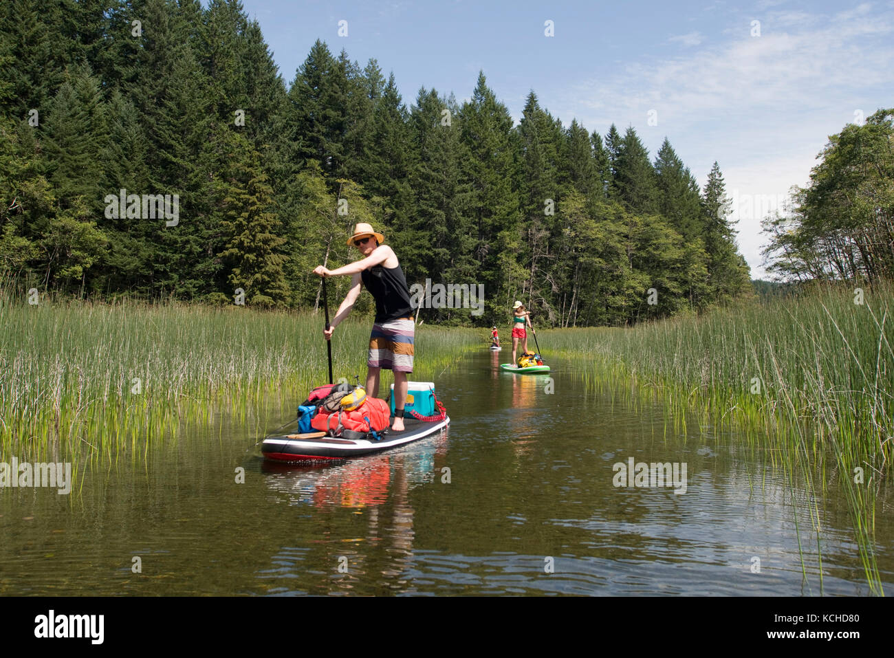 Stand-up paddleboard (sup) touring nel lago principale parco provinciale, quadra isola. British Columbia, Canada Foto Stock