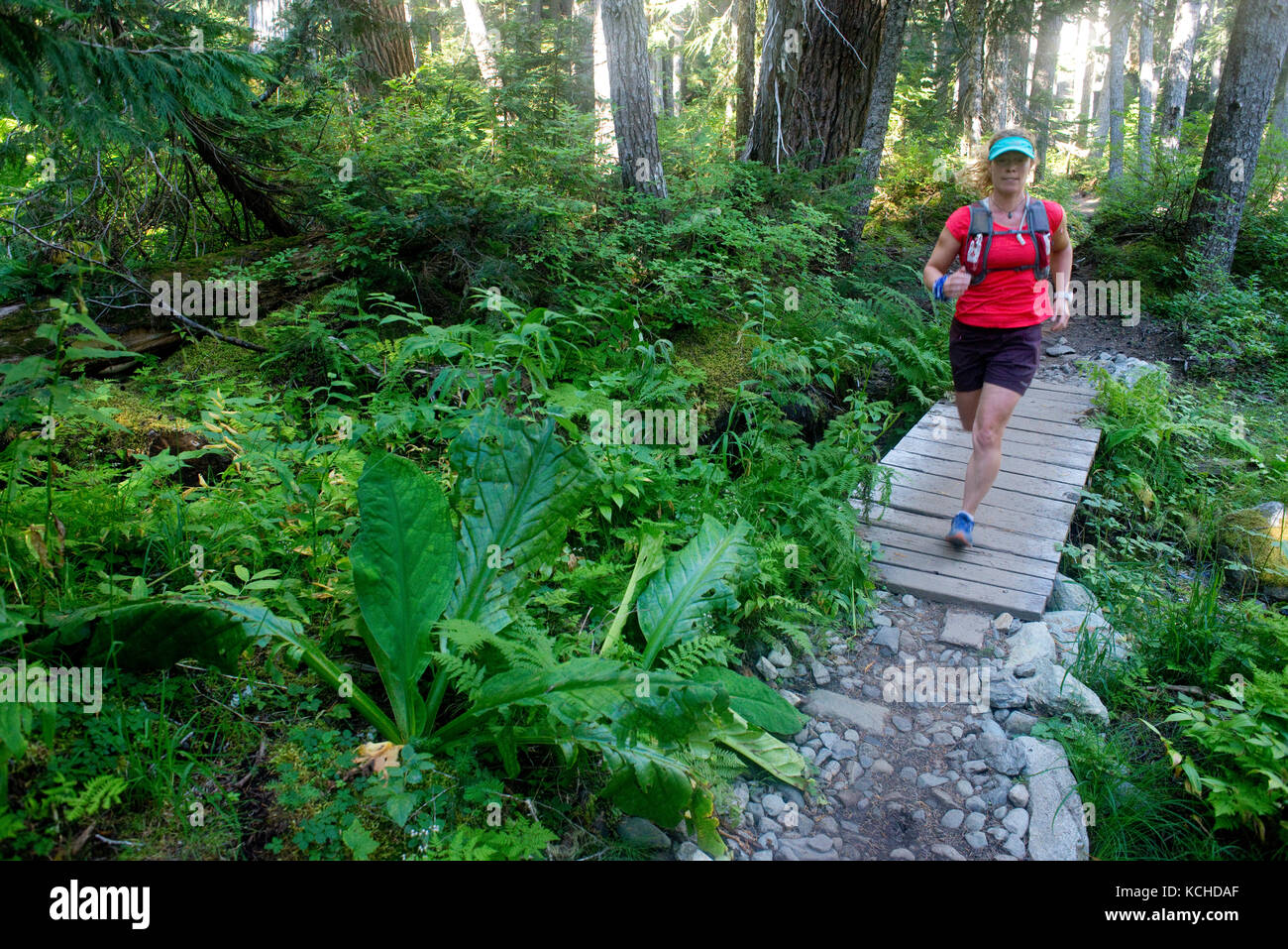 Trail Running sul sentiero arcobaleno di Rainbow Lake, Whistler, British Columbia Foto Stock
