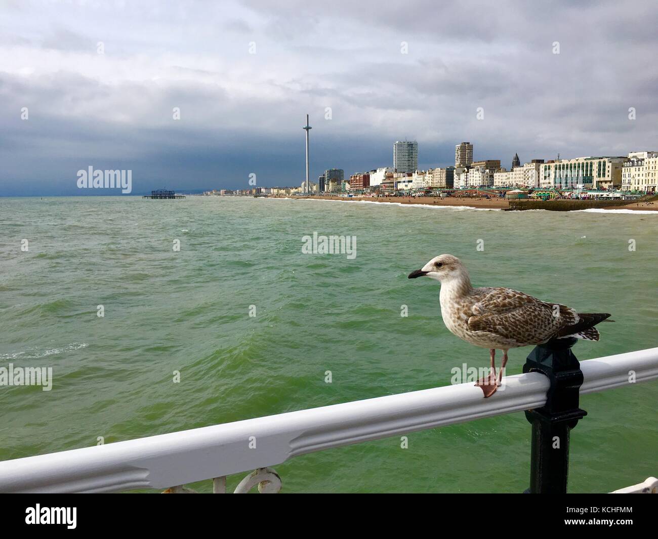 Brighton, Regno Unito Foto Stock