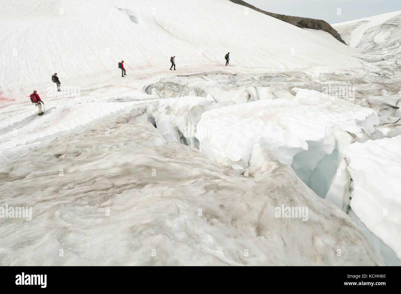 Un gruppo attraversa un crepaccio-ridden ghiacciaio vicino ghiacciaio Lodge a nord di Golden, BC nelle Montagne Rocciose Canadesi Foto Stock