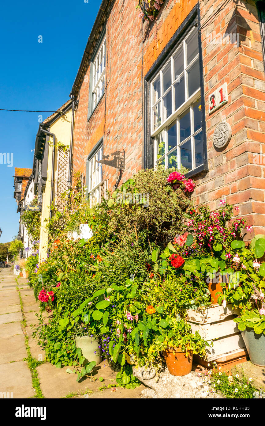 Giardino container all'esterno di un cottage d'epoca su una tipica strada inglese Foto Stock