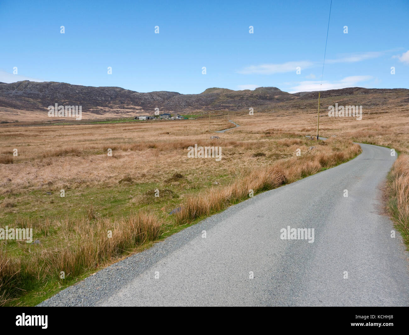 Minor Road & cascina in northern Rhinog montagne di Snowdonia, conduce ad una cresta contenente le montagne di Moel Ysgyfarnogod & Foel Penolau Foto Stock